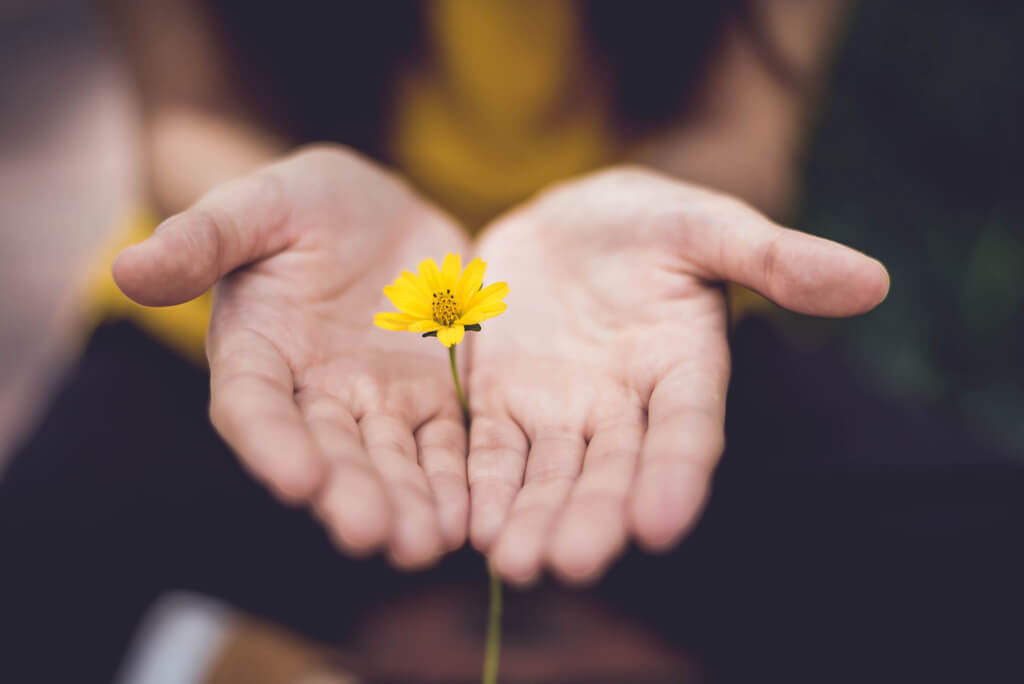 Hände mit Blume